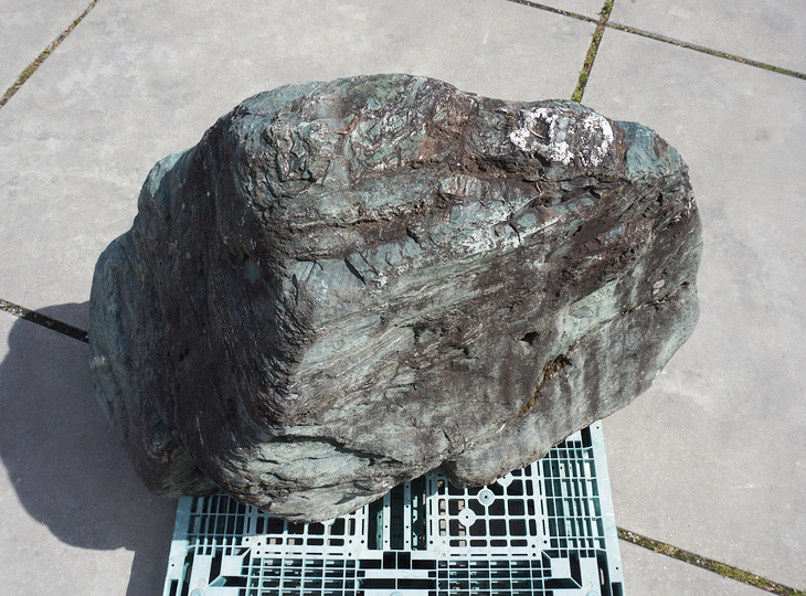 Shikoku Stone, Japanese Ornamental Rock - YO06010556