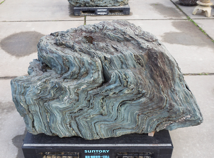 Shikoku Stone, Japanese Ornamental Rock - YO06010560