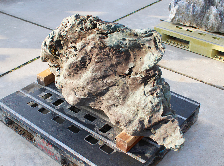 Shikoku Stone, Japanese Ornamental Rock - YO06010565