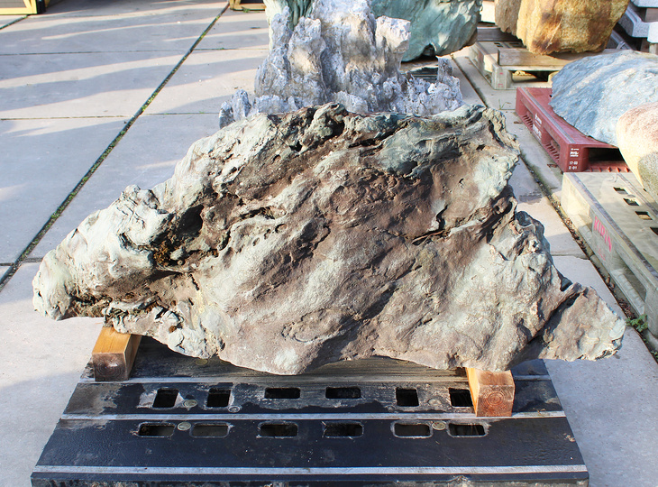 Shikoku Stone, Japanese Ornamental Rock - YO06010565