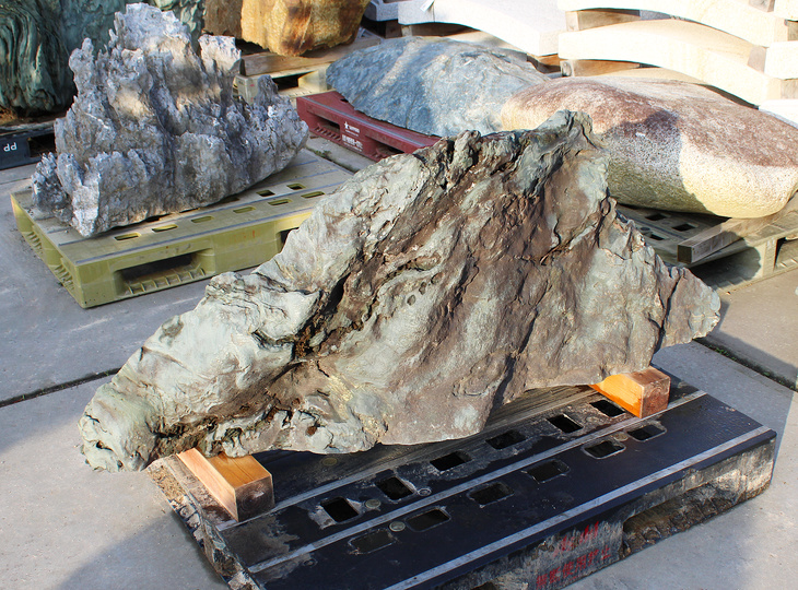 Shikoku Stone, Japanese Ornamental Rock - YO06010565