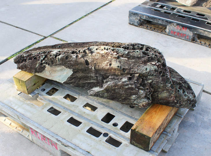 Buy Shikoku Stone, Japanese Ornamental Rock for sale - YO06010566