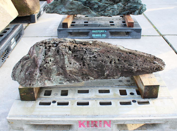 Shikoku Stone, Japanese Ornamental Rock - YO06010566