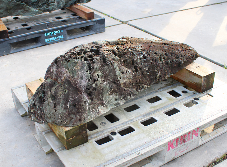 Shikoku Stone, Japanese Ornamental Rock - YO06010566