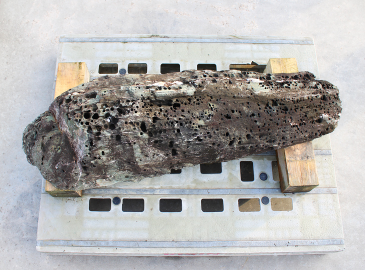 Shikoku Stone, Japanese Ornamental Rock - YO06010566