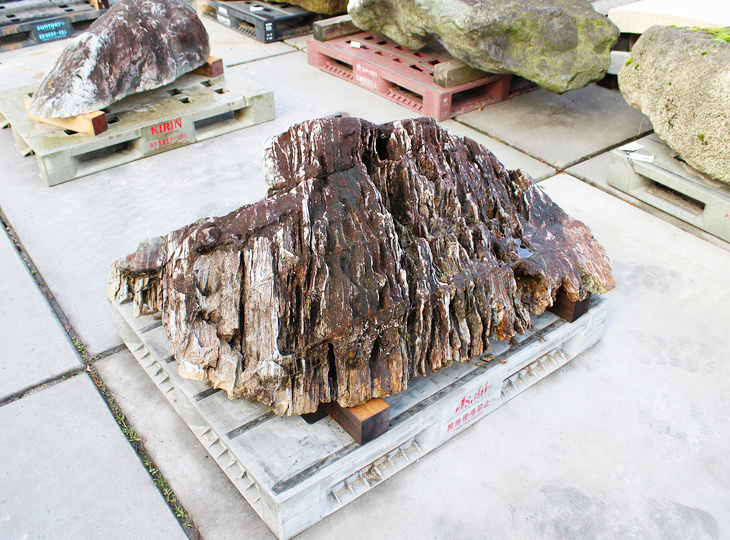 Shikoku Stone, Japanese Ornamental Rock - YO06010569