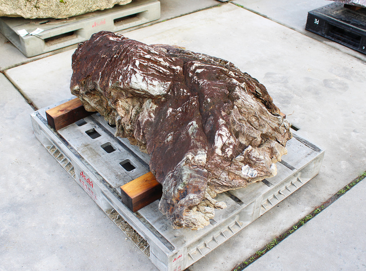 Shikoku Stone, Japanese Ornamental Rock - YO06010569