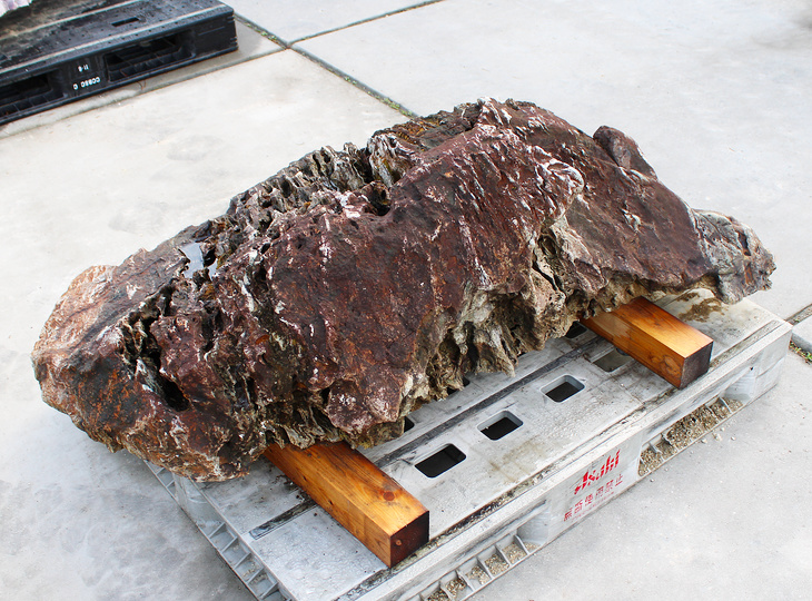 Shikoku Stone, Japanese Ornamental Rock - YO06010569