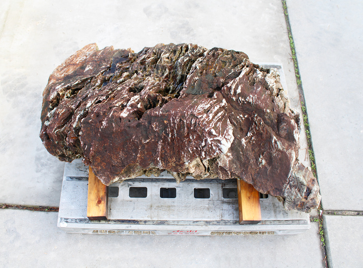 Shikoku Stone, Japanese Ornamental Rock - YO06010569