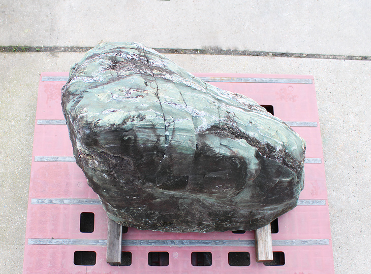 Shikoku Stone, Japanese Ornamental Rock - YO06010577