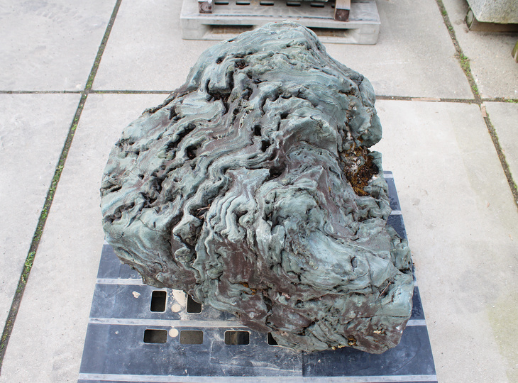 Shikoku Stone, Japanese Ornamental Rock - YO06010580