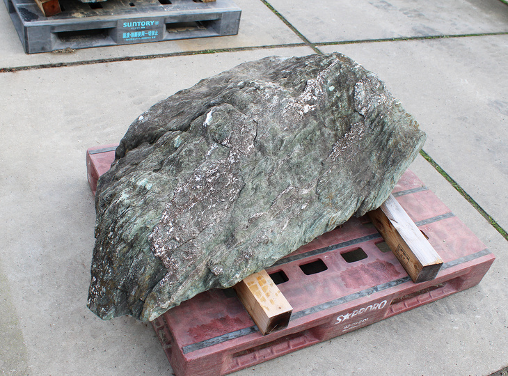 Shikoku Stone, Japanese Ornamental Rock - YO06010581