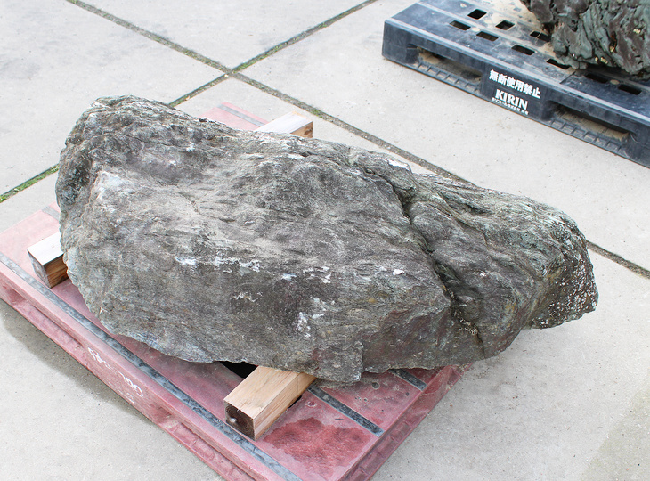 Shikoku Stone, Japanese Ornamental Rock - YO06010581