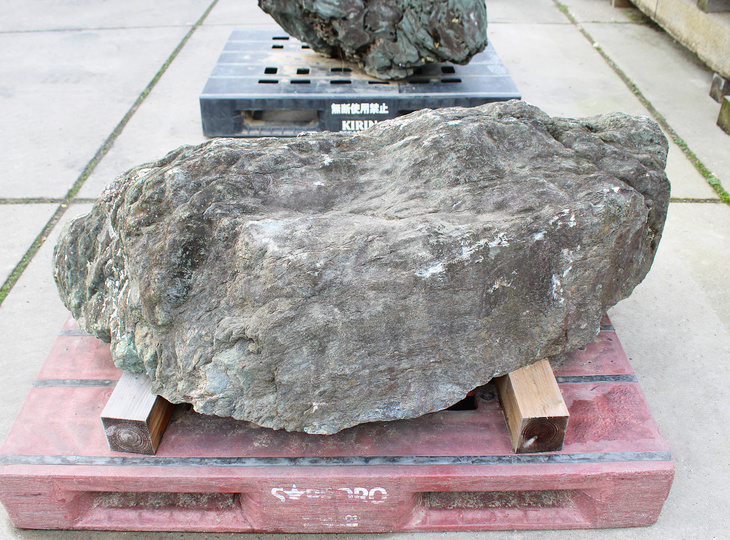 Shikoku Stone, Japanese Ornamental Rock - YO06010581