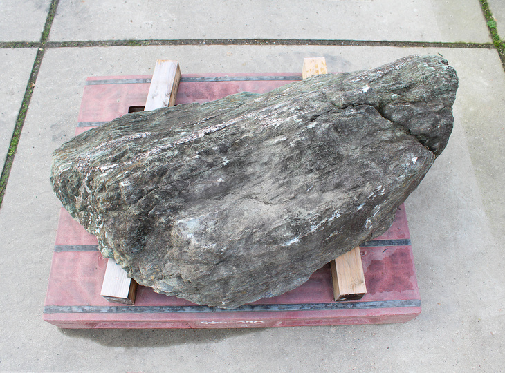 Shikoku Stone, Japanese Ornamental Rock - YO06010581