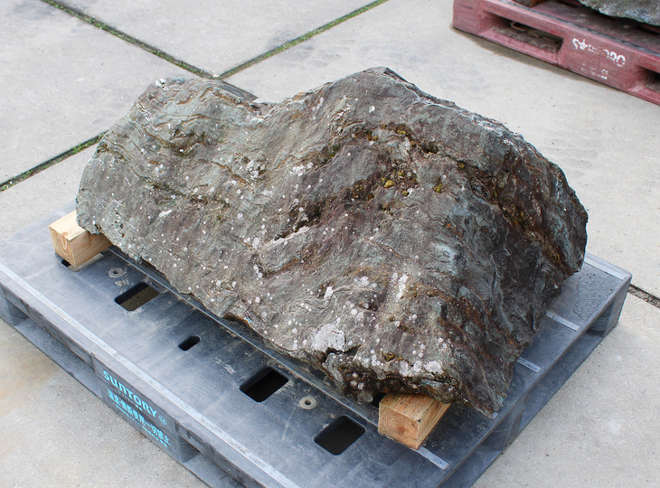 Shikoku Stone, Japanese Ornamental Rock - YO06010582