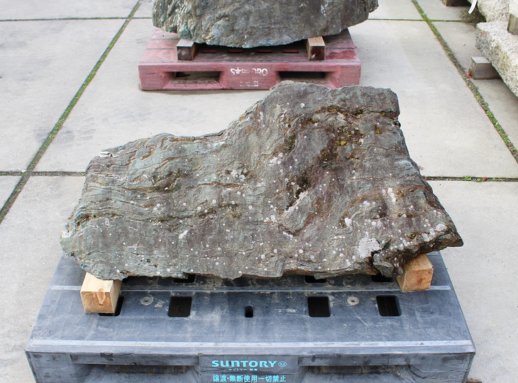 Shikoku Stone, Japanese Ornamental Rock - YO06010582