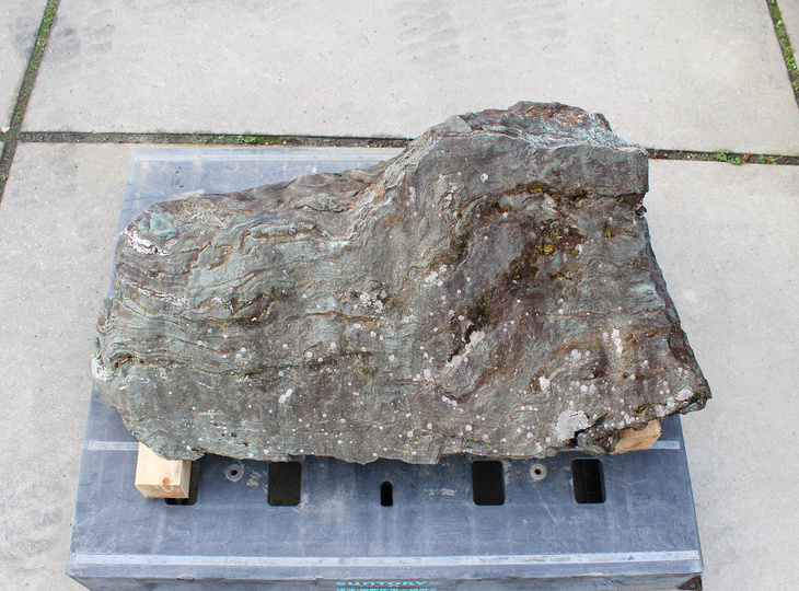 Shikoku Stone, Japanese Ornamental Rock - YO06010582