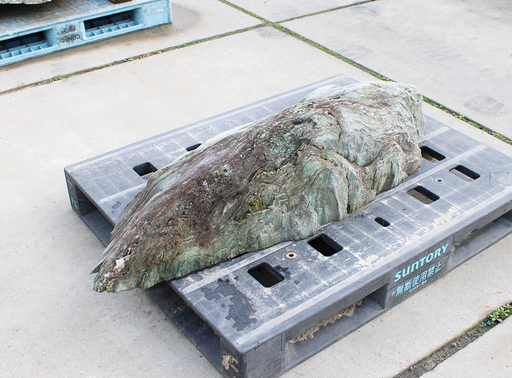 Shikoku Stone, Japanese Ornamental Rock - YO06010583