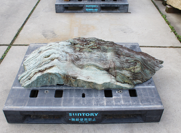 Shikoku Stone, Japanese Ornamental Rock - YO06010583