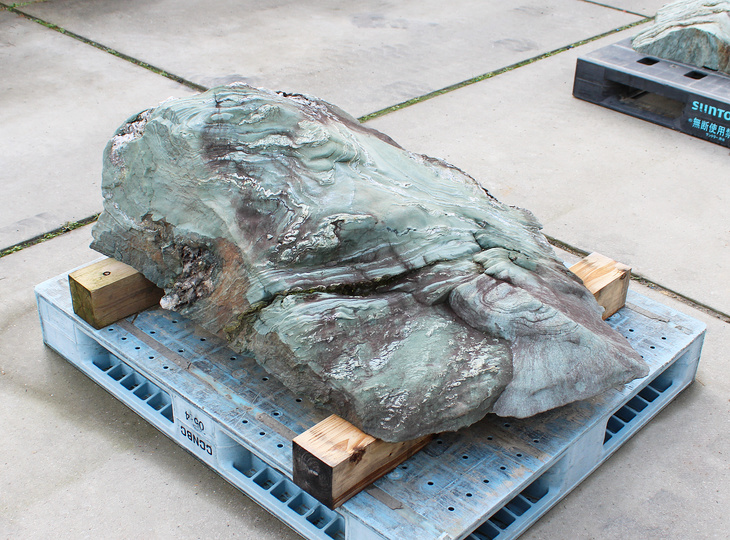 Shikoku Stone, Japanese Ornamental Rock - YO06010584