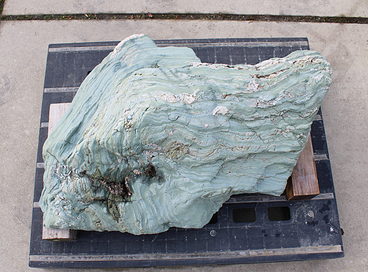 Shikoku Stone, Japanese Ornamental Rock - YO06010586