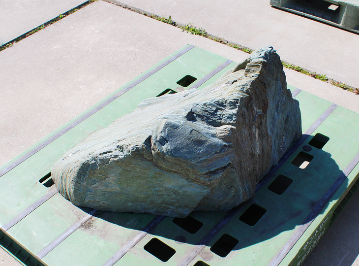 Shikoku Stone, Japanese Ornamental Rock - YO06010606