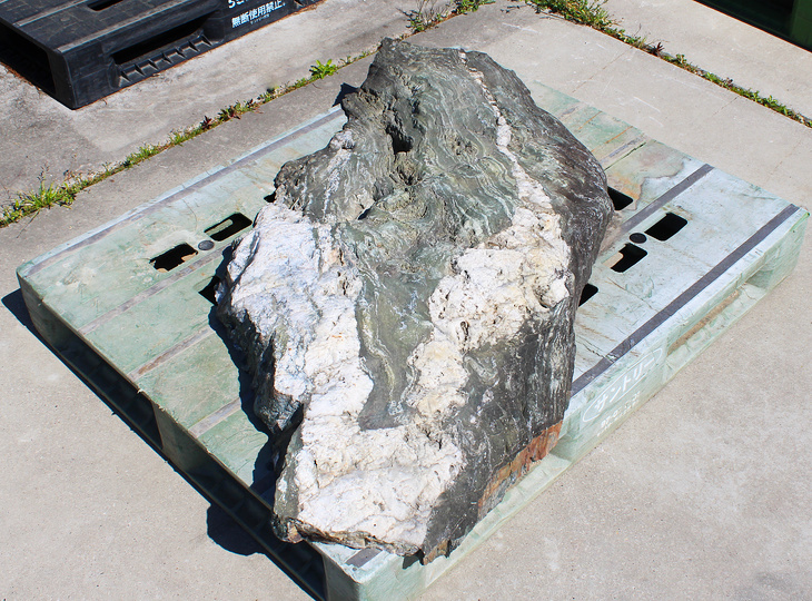 Shikoku Stone, Japanese Ornamental Rock - YO06010607