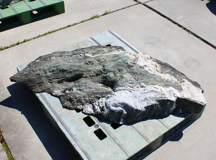 Shikoku Stone, Japanese Ornamental Rock - YO06010607