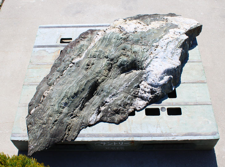 Shikoku Stone, Japanese Ornamental Rock - YO06010607