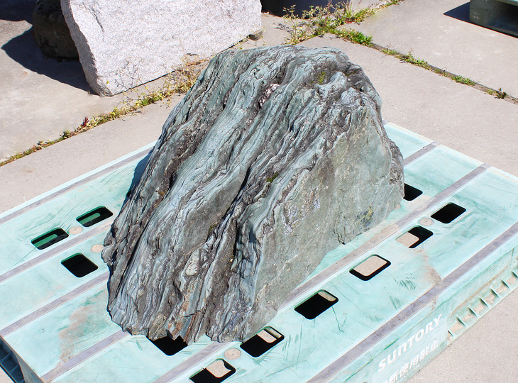 Shikoku Stone, Japanese Ornamental Rock - YO06010608