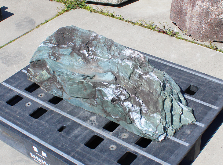 Shikoku Stone, Japanese Ornamental Rock - YO06010609