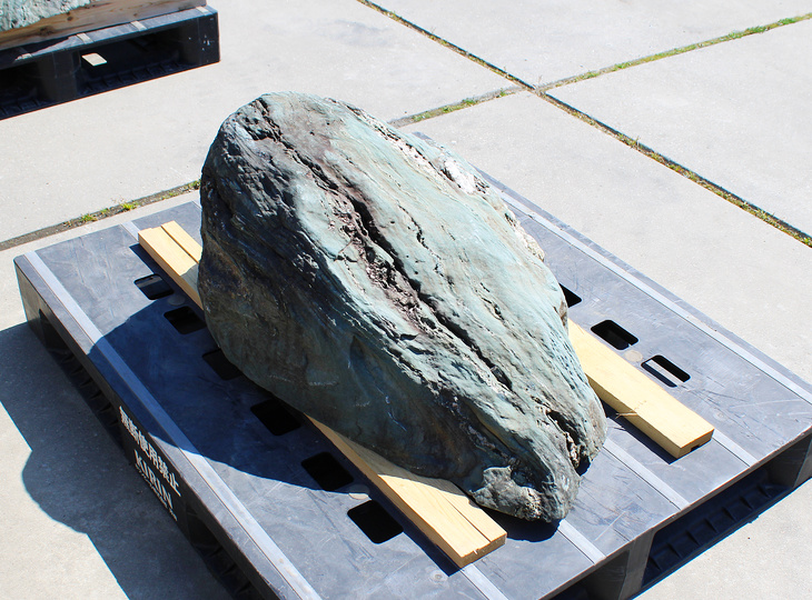 Shikoku Stone, Japanese Ornamental Rock - YO06010611