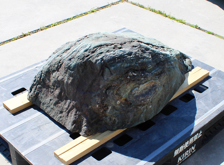 Shikoku Stone, Japanese Ornamental Rock - YO06010611