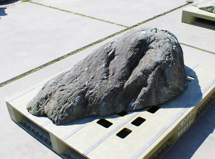 Shikoku Stone, Japanese Ornamental Rock - YO06010615