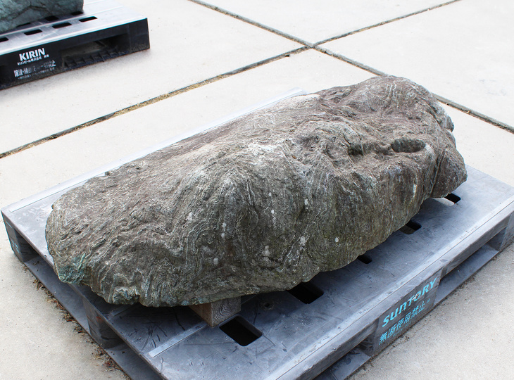 Shikoku Stone, Japanese Ornamental Rock - YO06010623
