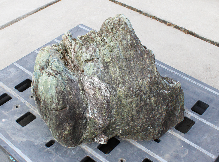 Shikoku Stone, Japanese Ornamental Rock - YO06010627
