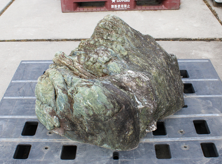 Shikoku Stone, Japanese Ornamental Rock - YO06010627