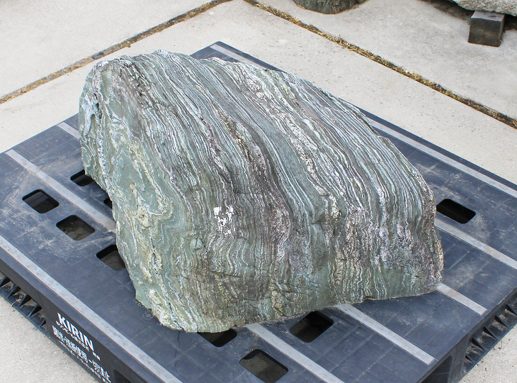 Shikoku Stone, Japanese Ornamental Rock - YO06010631