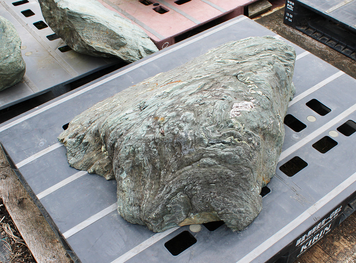 Shikoku Stone, Japanese Ornamental Rock - YO06010632