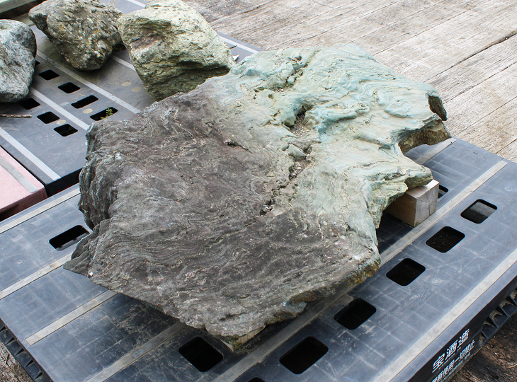 Shikoku Stone, Japanese Ornamental Rock - YO06010633