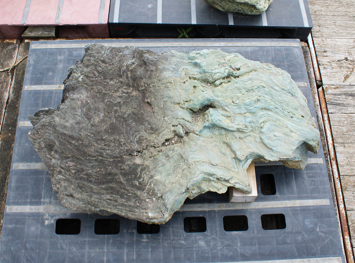 Shikoku Stone, Japanese Ornamental Rock - YO06010633