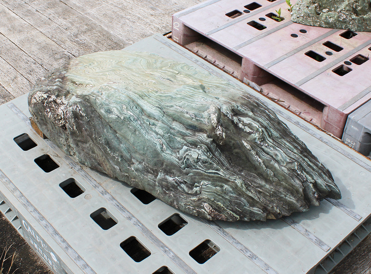 Shikoku Stone, Japanese Ornamental Rock - YO06010634