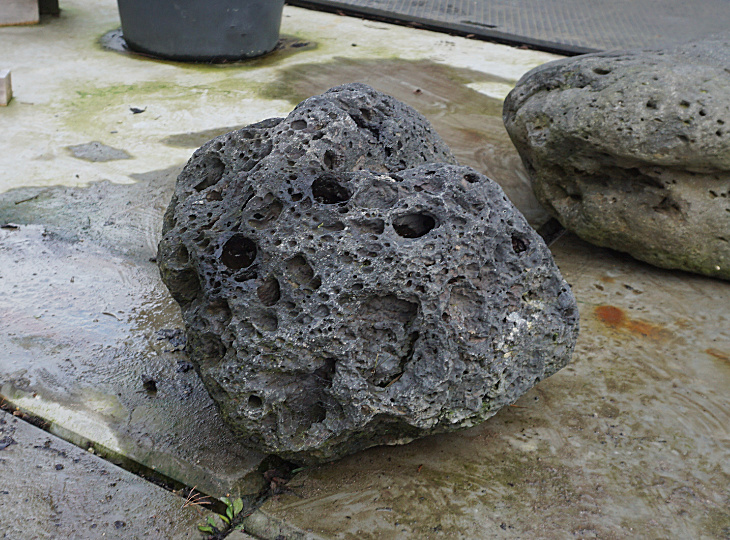 Buy Yoganseki Stone, Japanese Ornamental Rock for sale - YO06010240