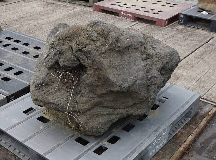 Yoganseki Stone, Japanese Ornamental Rock - YO06010402