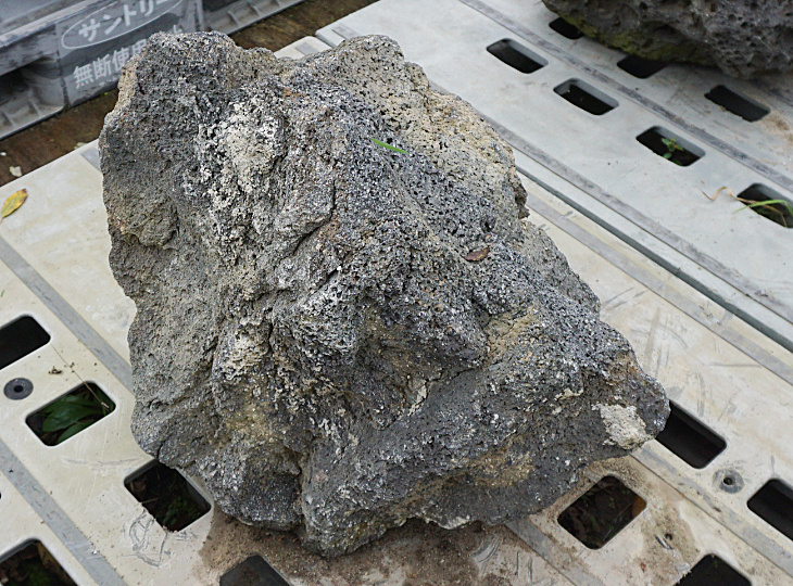 Yoganseki Stone, Japanese Ornamental Rock - YO06010465