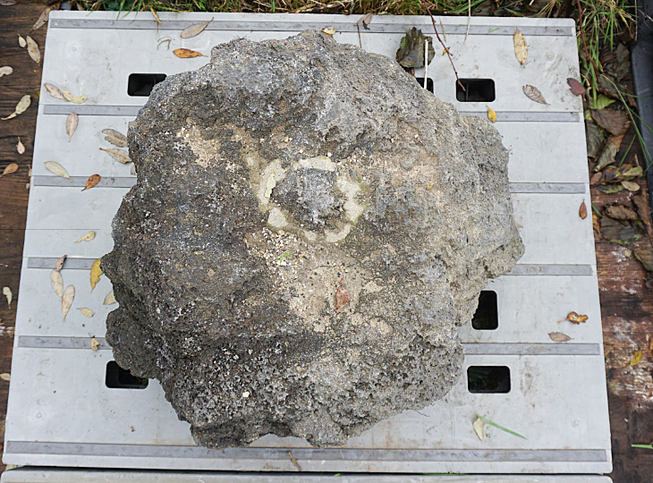 Yoganseki Stone, Japanese Ornamental Rock - YO06010466