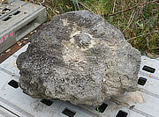 Buy Yoganseki Stone, Japanese Ornamental Rock for sale - YO06010466