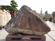 Koop Benikamo Steen, Japanse Siersteen te koop - YO06010529