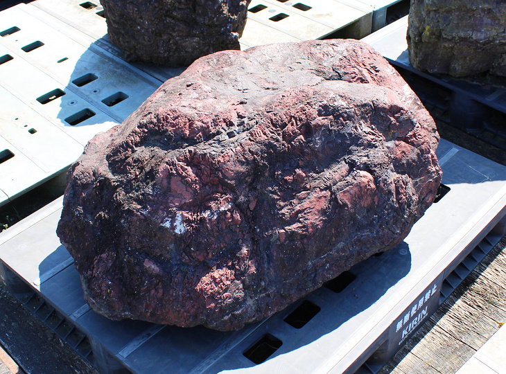 Benikamo Steen, Japanse Siersteen - YO06010594